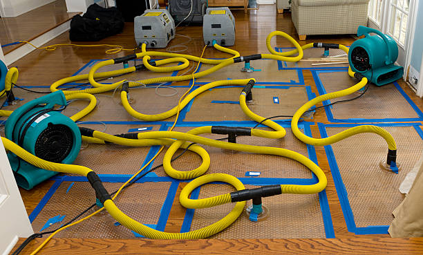 Professional Water Damage Repair technician working in Vernon, MI