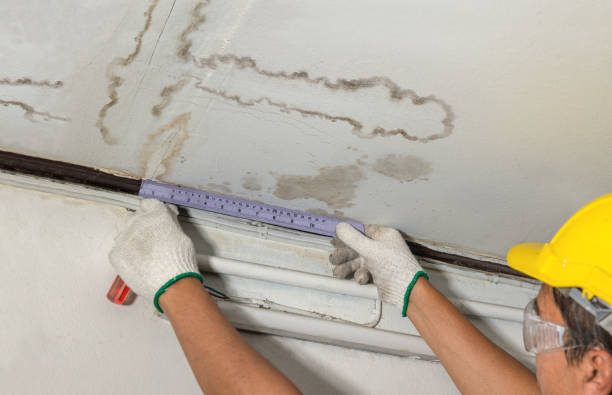 Affordable Water Damage Repair solutions in Vernon, MI